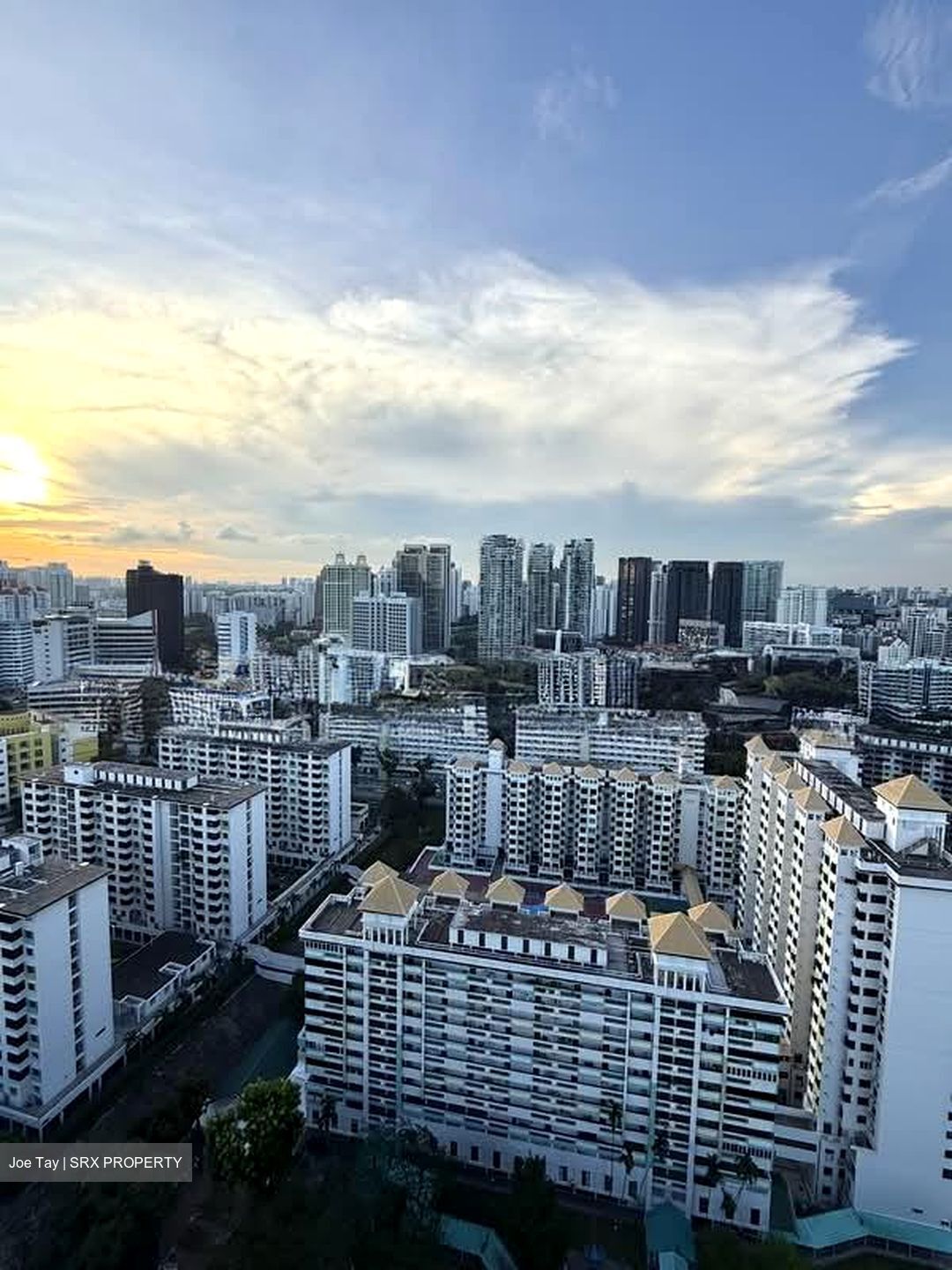 The Landmark (D3), Condominium #557560821